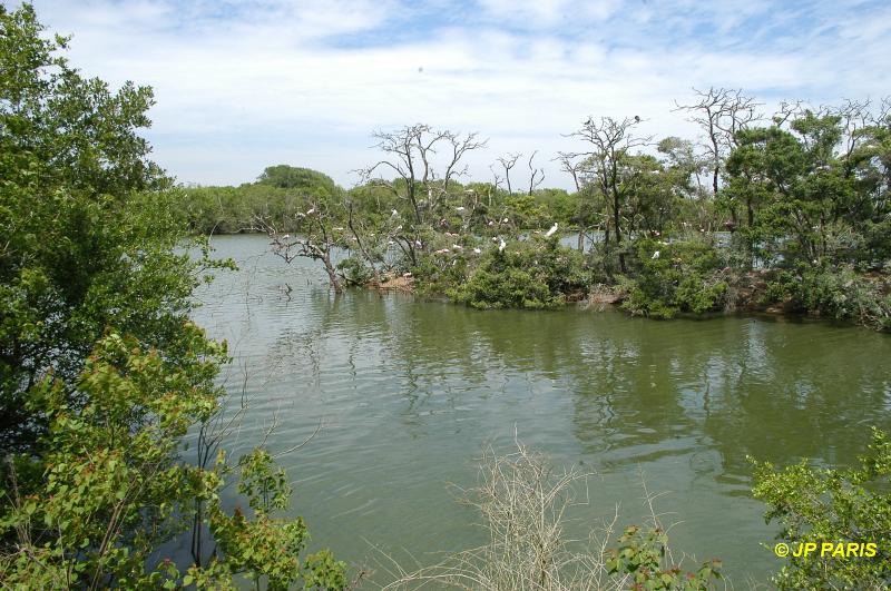 Smith Oaks Bird Sanctuary